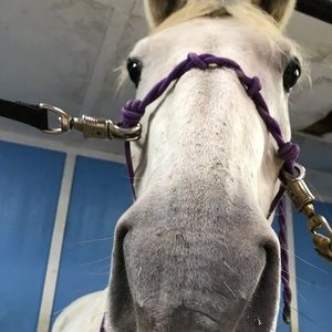 Meet your Posher, Leilani